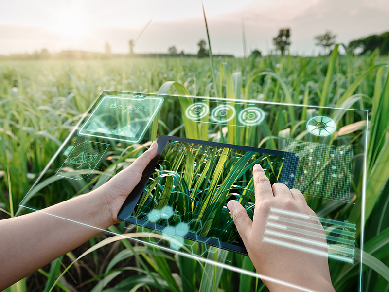 智慧农业物联网